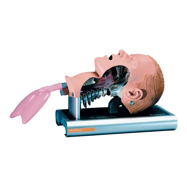 AMBU® Intubation Airway Management Trainer 186002000