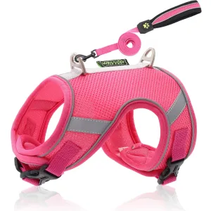Dog Harness Vest With Lead Leash Small Medium Dogs Cats Reflective Breathable Mesh Pet