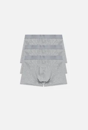 Foundation 3 Pack Boxer Brief / Grey