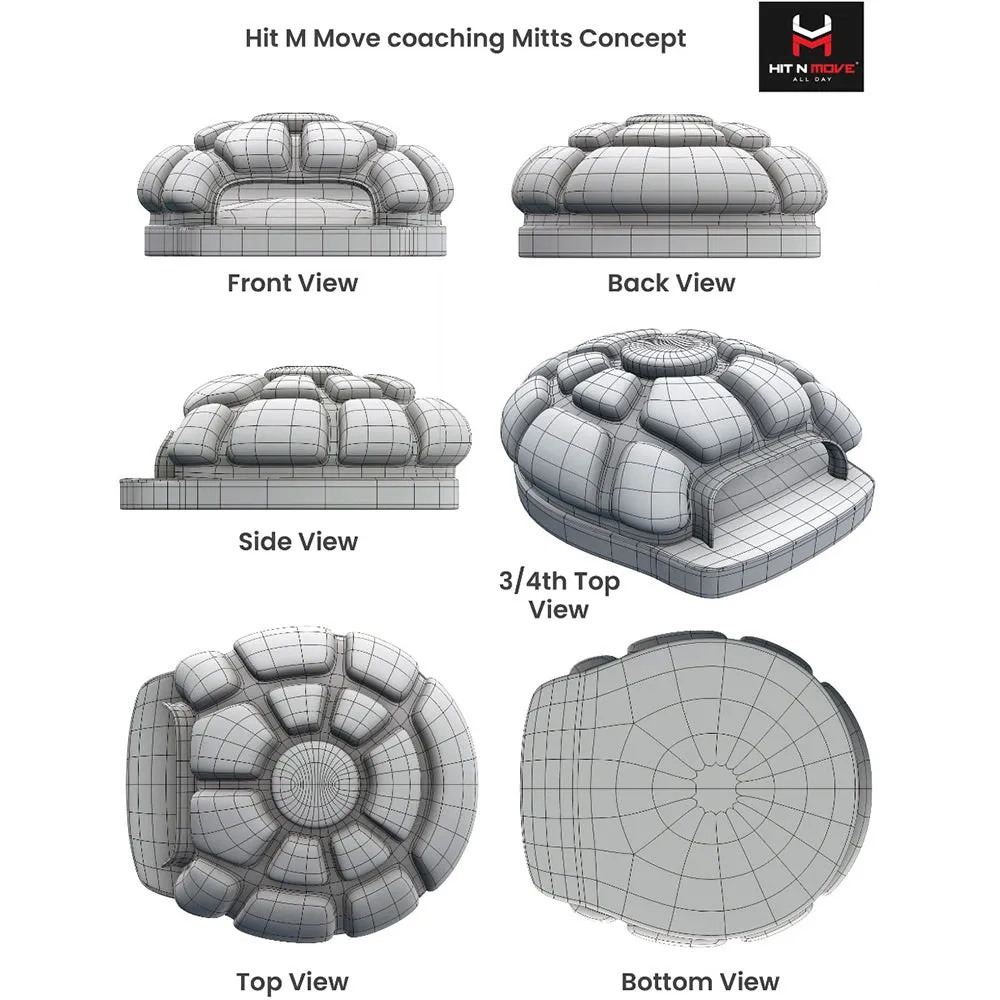 Hit N Move Turtle Focus Mitts