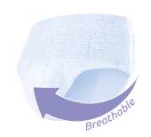 iD Pants Plus | Medium | Case of 8 Packs (14 Pieces / Pack)