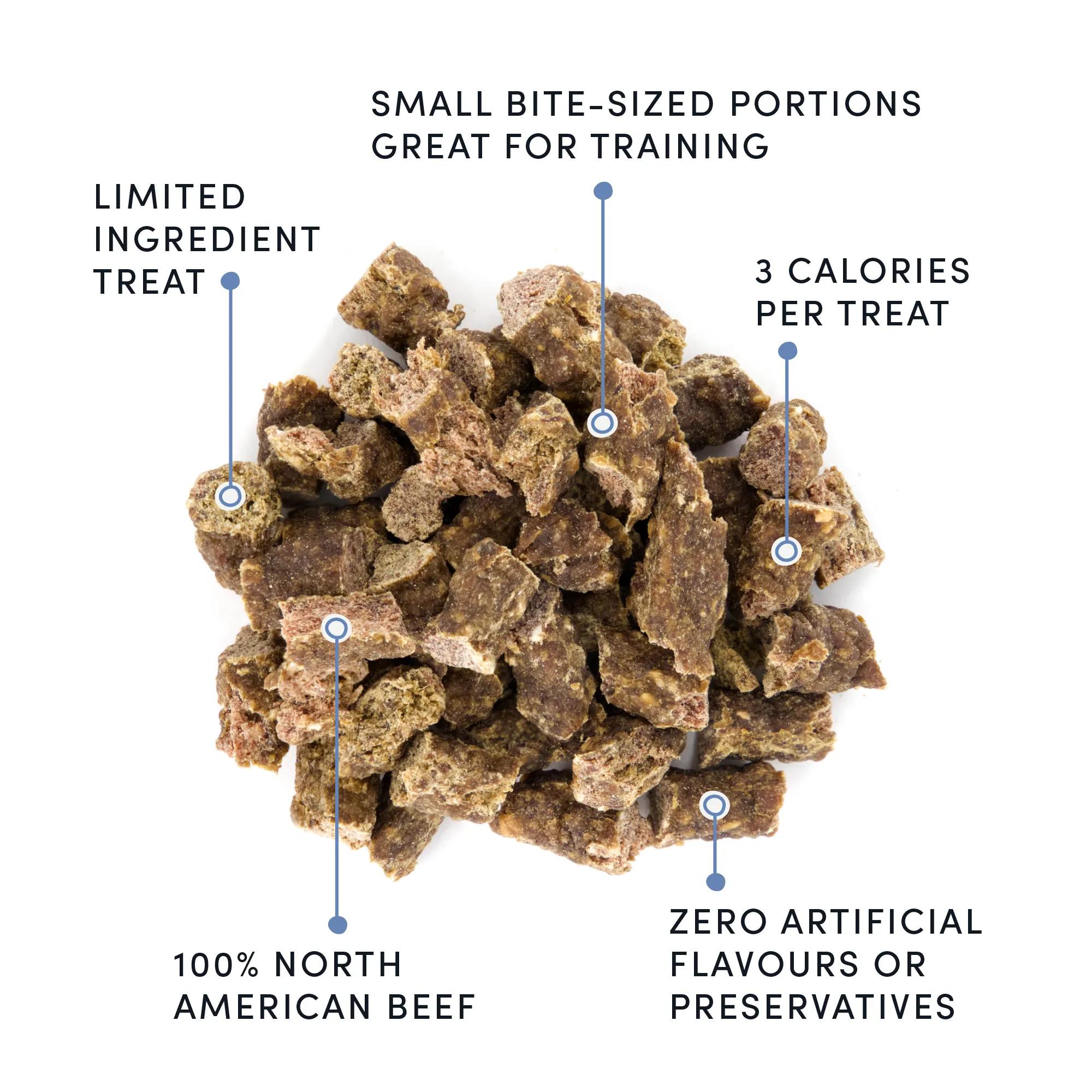 Semi Moist Beef Mini Trainers