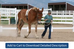 Training Tip - #121 Training For Rehabilitation